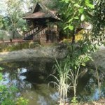 heritage haven pond